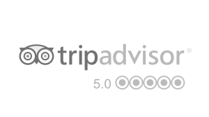 Our Tripadvisor reviews